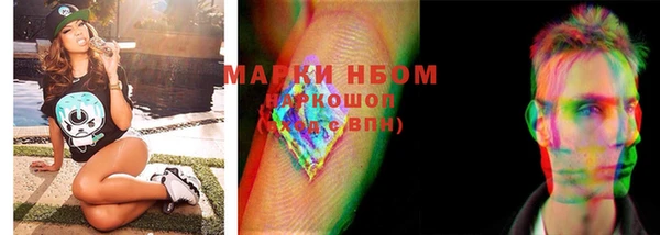 стаф Елизово
