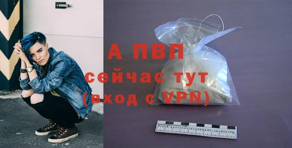 бошки Заводоуковск