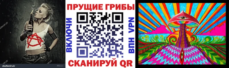 купить закладку Строитель Галлюциногенные грибы Psilocybine cubensis